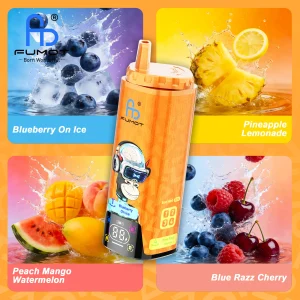 Fumot ECO 4in1 80K Blueberry On Ice & Pineapple Lemonade & Peach Mango Watermelon & Blue Razz Cherry