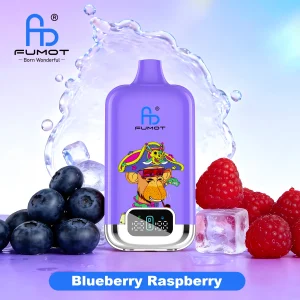 Fumot Digital Box 22000 Blueberry Raspberry